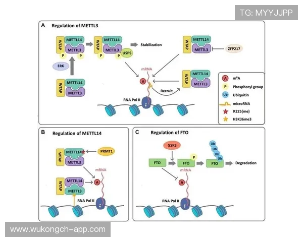 内斯塔与里奥斯达成体系驱动下的防守稳定性分化