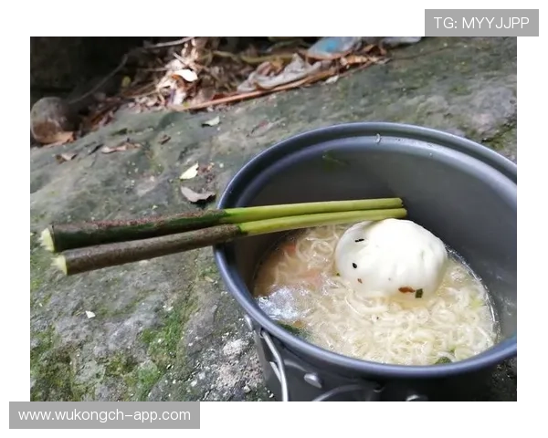 佩德里是否会高开低走：新星成长轨迹与持续性分析