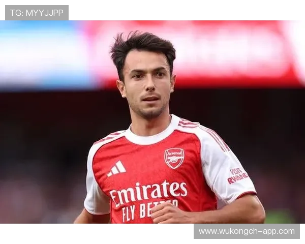 祖比门迪是否被低估：防守型中场的价值与数据体现